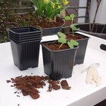 Nature Kit de propagateur 200 Pièces