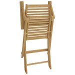 vidaXL Chaises pliables de jardin lot de 2 bois massif d'acacia