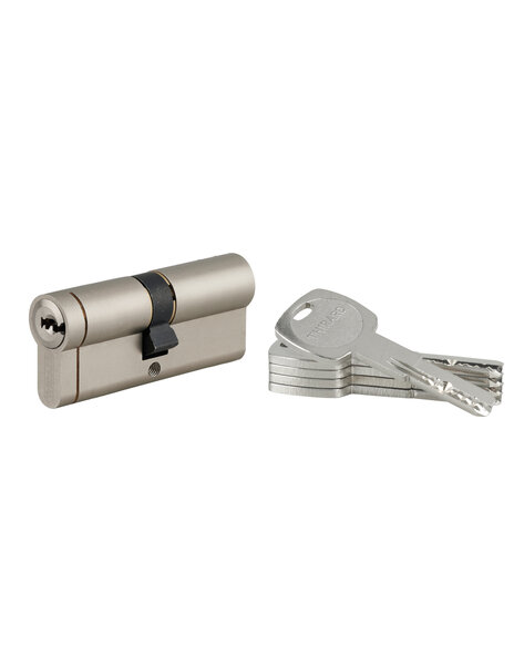 THIRARD - Cylindre double entrée Transit 1  40x40mm  nickelé  5 clés - THIRARD