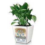 LECHUZA Jardinière QUADRO LS 35 ALL-IN-ON blanc brillant 16160