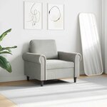 vidaXL Fauteuil Gris clair 60 cm Velours