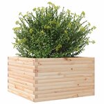 vidaXL Jardinière 80x80x45 5 cm bois de pin massif