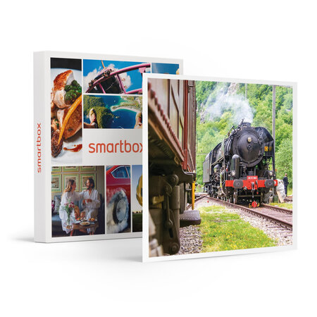 SMARTBOX - Coffret Cadeau Voyage à bord d'un train panoramique en Suisse avec dîner  - Première classe -  Multi-thèmes