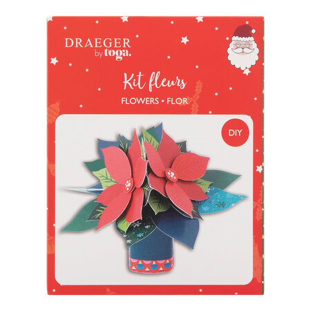Kit Fleurs De Noël - Draeger paris