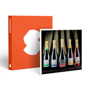 SMARTBOX - Coffret Cadeau Dégustation de champagne et visite de domaine dans la Marne -  Gastronomie