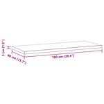 vidaXL Étagères murales 2 Pièces 100x40x3 cm argenté acier inoxydable