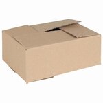 vidaXL Boîte Pliable 50 Pièces Marron 25 x 17.5 x 10 cm Carton