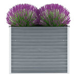 vidaXL Lit surélevé de jardin Acier galvanisé 100x40x77 cm Gris