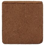 vidaXL Blocs de noix de coco 2 Pièces 5 kg chacun 10 kg au total