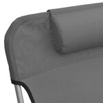 vidaXL Chaises longues pliables lot de 2 gris textilène et acier