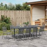 vidaXL Ensemble de salle à manger pour jardin 11 Pièces Anthracite