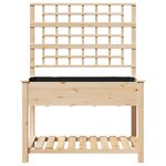 vidaXL Jardinière avec treillis et étagère 115x59x152 cm en bois massif de sapin