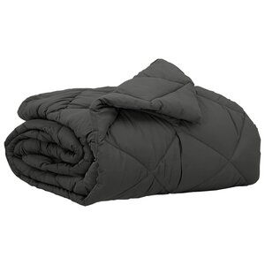vidaXL Duvet d'été simple Anthracite 200 x 135 cm Microfibre