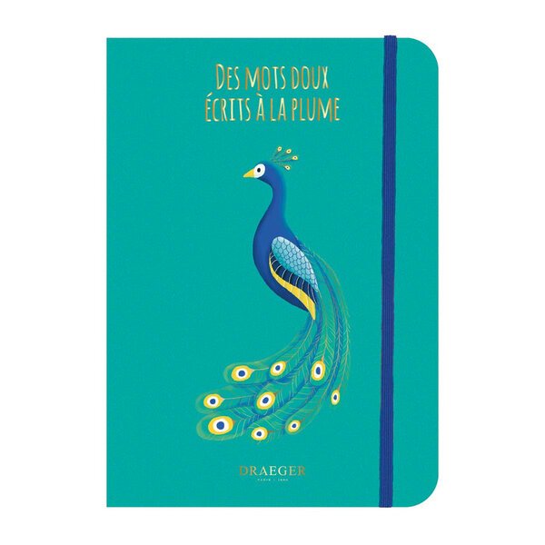 Cahier Family Pop - Plusieurs Motifs - PAON - Draeger