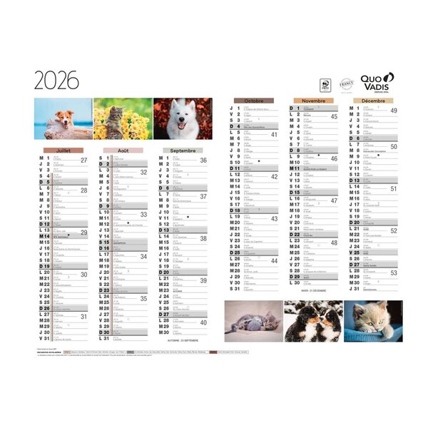 Calendrier Mural 2026 - 12 Mois - 27 X 21 Cm - Animaux