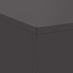 vidaXL Braise Noir 100 x 100 x 30 cm Acier laminé à froid