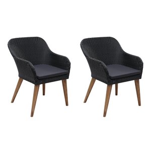 vidaXL Chaises d'extérieur lot de 2 avec coussins Résine tressée Noir