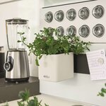 LECHUZA 3 Pièces Jardinières Green Wall Home Kit Blanc