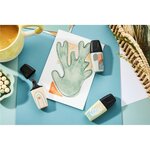 Surligneur BOSS MINI Naturevibes  étui carton de 5 STABILO