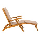 vidaXL Chaise longue inclinable et pliable 2 Pièces 55 x 146 x 91 cm