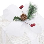 vidaXL Boîtes-cadeaux de Noël décoratives 3 Pièces Extérieur Intérieur