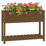vidaXL Jardinière et étagère Marron miel 111 5x34 5x81 cm Bois de pin