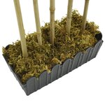 vidaXL Bambou artificiel 730 feuilles 120 cm vert