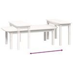 vidaXL Ensemble de tables basses 2 Pièces Blanc Bois massif de pin