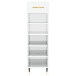 vidaXL Armoire à chaussure Blanc brillant 30x35x105 cm Bois ingénierie
