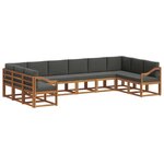 vidaXL Ensemble de canapés d'extérieur 10 pc Naturel et Anthracite