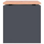 vidaXL Banc de jardin Anthracite 40 x 40 x 43 cm Acier