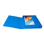 Boite De Classement Exabox Dos 40mm Carte Lustrée Scotten - A4 - Couleurs Assorties - X 10 - Exacompta