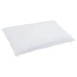 vidaXL Oreiller avec oreiller Blanc 40 x 80 cm Plume