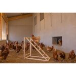 Tour d'escalade pour poules 85 x 55 x 76 cm avec balançoire - Echelle robuste