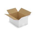 Caisse carton blanche simple cannelure raja 31x22x15 cm (lot de 25)