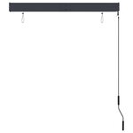 vidaXL Store roulant d'extérieur 120 x 250 cm Anthracite