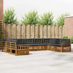 vidaXL Ensemble de canapés d'extérieur 9 Pièces Naturel et Anthracite