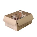 Pack and Move - Lot 10 cartons déménagement stockage S - 36 x 28x 18 cm - Poignées renforcées - 1 adhésif offert