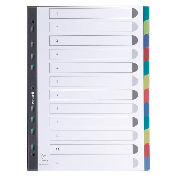 EXACOMPTA Intercalaires FOREVER en polypropylène 3/10e assortis touches neutres format A4