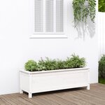 vidaXL Lit surélevé de jardin blanc 119 5x40x39 cm bois de pin massif