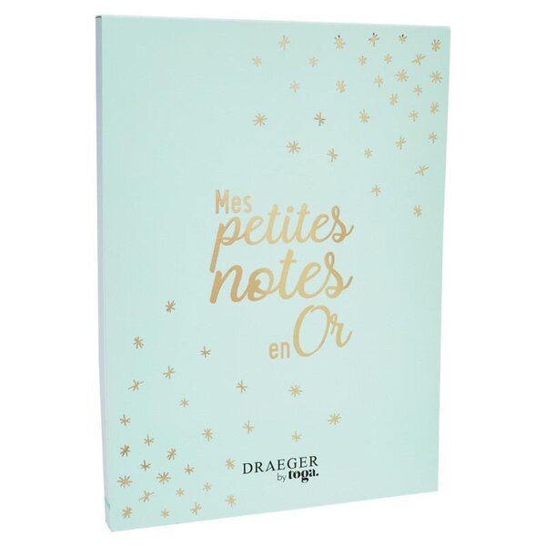 Bloc-notes Mes Petites Notes En Or - Draeger paris
