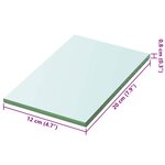 vidaXL Panneau pour étagère Verre transparent 20 x 12 cm