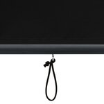 vidaXL Store roulant d'extérieur 120 x 250 cm Anthracite