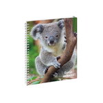 Cahier de textes Spirales - 17 x 22 cm - Bébé Koala - Fabriqué en France
