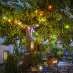 KONSTSMIDE Guirlande lumineuse avec 10 ampoules Multicolore