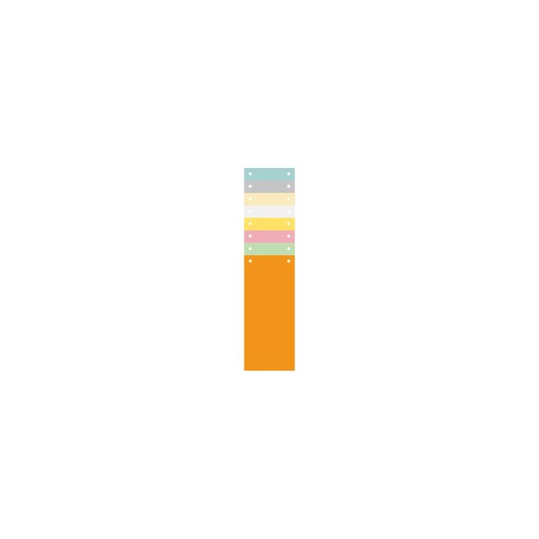 Paquet 100 Fiches Intercalaires Horizontales Unies Perforées - 105x240mm - Couleurs Assorties - Exacompta