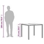 vidaXL Table de jardin avec dessus en verre marron résine tressée