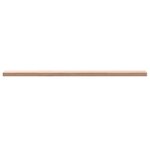 vidaXL Étagère murale 100x20x2 5 cm bois massif de hêtre