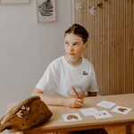 Carte - Hirondelles noires