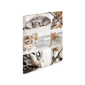 Chemise à élastiques 'chats', en carton, A4 HERMA